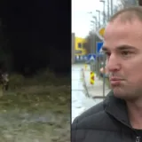 Dominik usred noći u Zadru doživio bliski susret: 'Odjednom vidim ne&scaron;to smeđe i veliko'