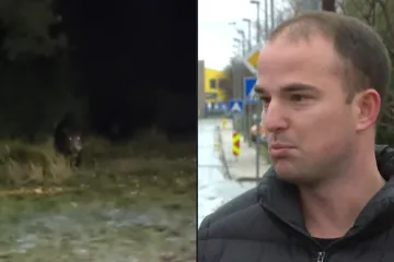 Dominik usred noći u Zadru doživio bliski susret: 'Odjednom vidim ne&scaron;to smeđe i veliko'