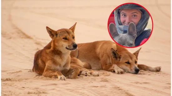 Stigli rezultati obdukcije tinejdžerice, smrt djevojke posvađala naciju: 'Bila sam zaprepa&scaron;tena'