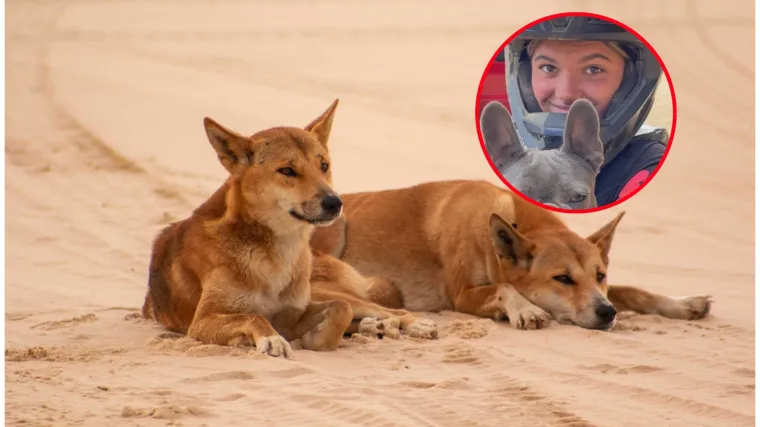 Stigli rezultati obdukcije tinejdžerice, smrt djevojke posvađala naciju: 'Bila sam zaprepa&scaron;tena'