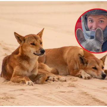 Stigli rezultati obdukcije tinejdžerice, smrt djevojke posvađala naciju: 'Bila sam zaprepa&scaron;tena'