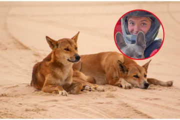 Stigli rezultati obdukcije tinejdžerice, smrt djevojke posvađala naciju: 'Bila sam zaprepa&scaron;tena'