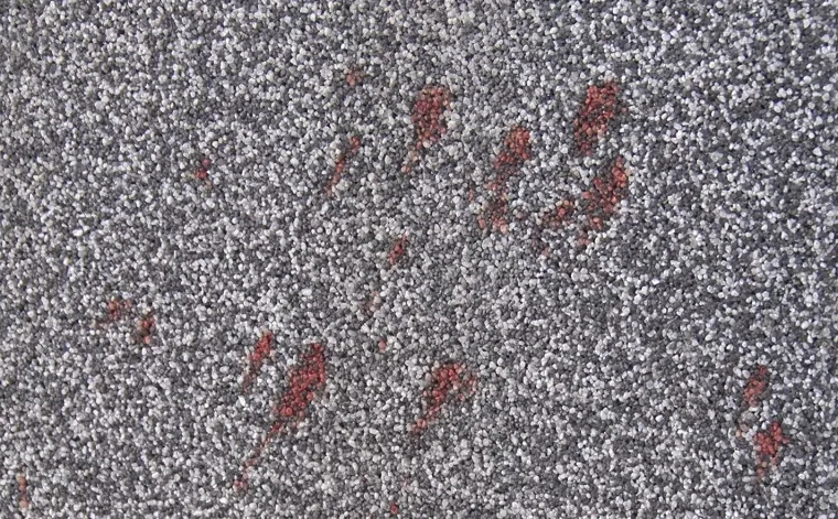 &Scaron;ipke, tenisice i krv kod Tuzle: 'Bio sam u ratu, ali ovo je nevjerojatno, imaju rupe po glavama'