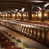 Vino i maslinovo ulje bez carina? Sporazum s Indijom donosi veliku priliku za Hrvatsku