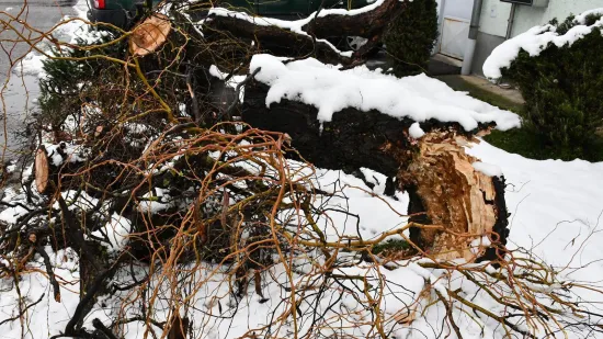 Grana puna snijega odlomila se s visine od 10 metara i ubila ženu (77)
