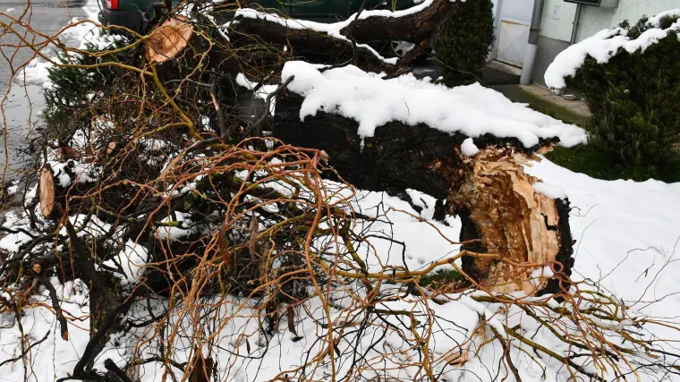 Grana puna snijega odlomila se s visine od 10 metara i ubila ženu (77)