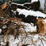 Grana puna snijega odlomila se s visine od 10 metara i ubila ženu (77)