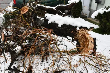Grana puna snijega odlomila se s visine od 10 metara i ubila ženu (77)