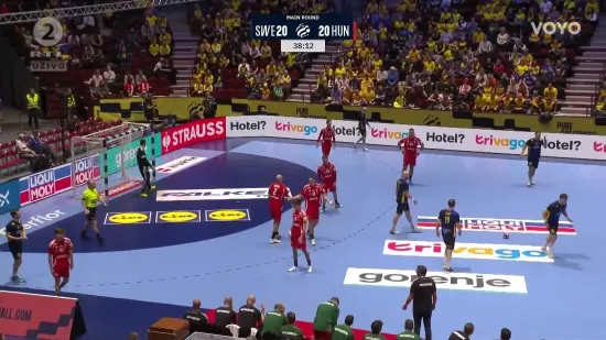 Konfuzija na terenu! Znaju li Mađari pravila rukometne igre?