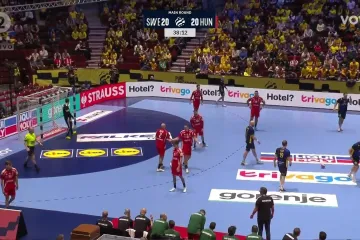 Konfuzija na terenu! Znaju li Mađari pravila rukometne igre?