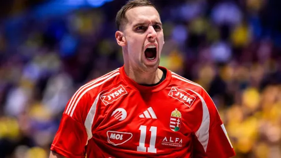 11 godina radio u Mađarskoj: 'Rekao sam supruzi da ih se vi&scaron;e bojim od Slovenaca'