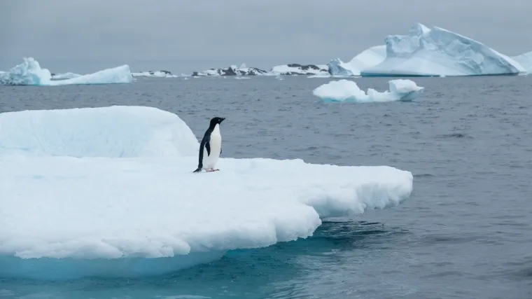 Osvanuli zanimljivi oglasi za posao: 'Trebaju nam obični ljudi s običnim zanimanjima, ali na neobičnom mjestu'