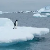 Osvanuli zanimljivi oglasi za posao: 'Trebaju nam obični ljudi s običnim zanimanjima, ali na neobičnom mjestu'