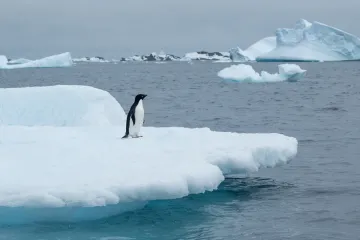Osvanuli zanimljivi oglasi za posao: 'Trebaju nam obični ljudi s običnim zanimanjima, ali na neobičnom mjestu'