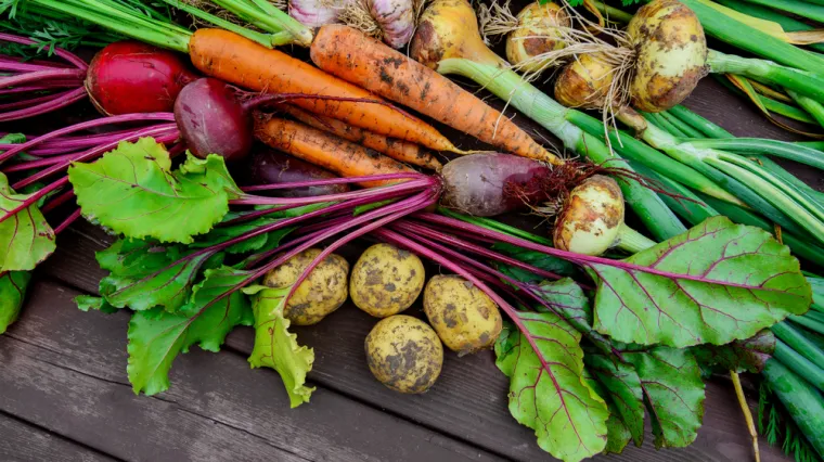 [KVIZ] Rijetki će znati ba&scaron; sve točne odgovore na pitanjima o povrću