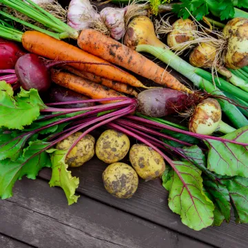 [KVIZ] Rijetki će znati ba&scaron; sve točne odgovore na pitanjima o povrću