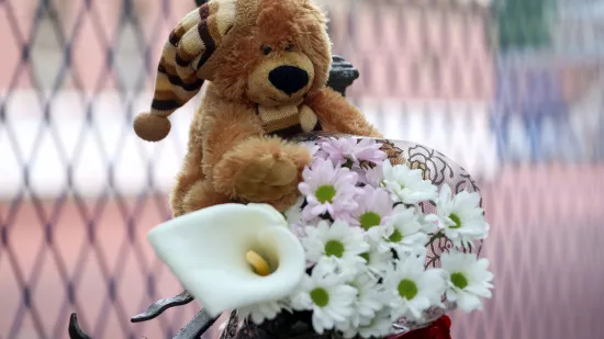 Novi dokazi u slučaju dječaka ubojice iz Beograda: Prepiska sina i majke krije ključne dokaze?