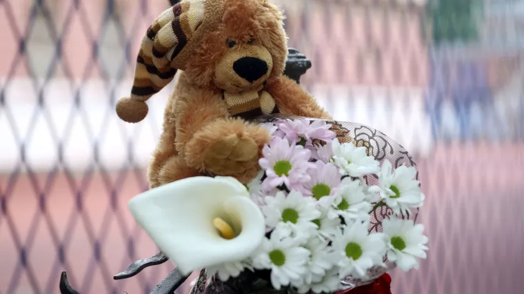 Novi dokazi u slučaju dječaka ubojice iz Beograda: Prepiska sina i majke krije ključne dokaze?