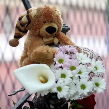 Novi dokazi u slučaju dječaka ubojice iz Beograda: Prepiska sina i majke krije ključne dokaze?