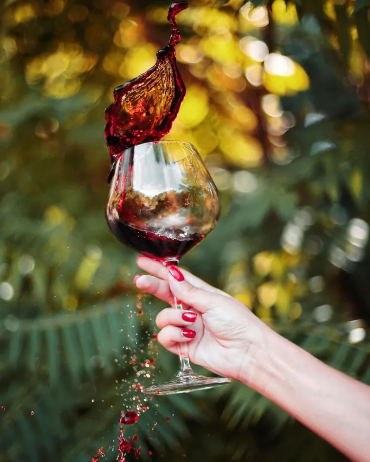 Je li crno vino zaslužno za dugovječnost? Istraživanja pokazuju jednu stvar