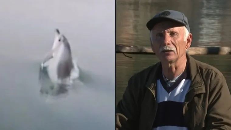 Oliver nestao prije godinu i pol, a sada se vratio! 'Bila je ti&scaron;ina, odjednom se pojavio'