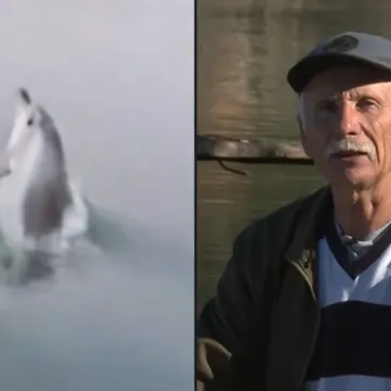 Oliver nestao prije godinu i pol, a sada se vratio! 'Bila je ti&scaron;ina, odjednom se pojavio'