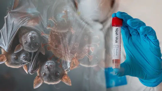 &Scaron;iri se novi virus, smrtnost mu je do čak 75 posto: Čeka li nas nova pandemija?