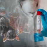 &Scaron;iri se novi virus, smrtnost mu je do čak 75 posto: Čeka li nas nova pandemija?