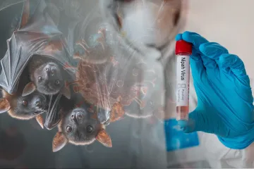 &Scaron;iri se novi virus, smrtnost mu je do čak 75 posto: Čeka li nas nova pandemija?