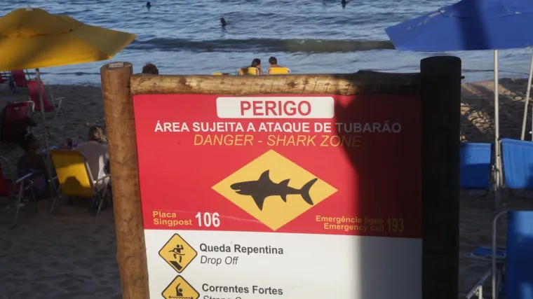 Horor na plaži u turističkoj destinaciji! Morski pas nasmrt izgrizao dječaka (13)