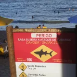 Horor na plaži u turističkoj destinaciji! Morski pas nasmrt izgrizao dječaka (13)