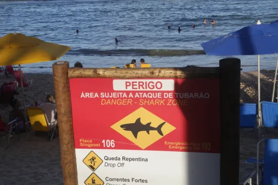 Horor na plaži u turističkoj destinaciji! Morski pas nasmrt izgrizao dječaka (13)