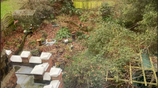 Internet raspamećen zbog ovog zadatka: Ako pronađete sve tri lisice, imate snajperski vid