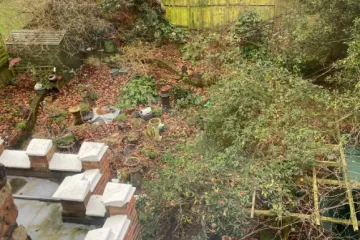 Internet raspamećen zbog ovog zadatka: Ako pronađete sve tri lisice, imate snajperski vid