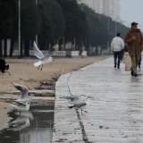 Povratak minusa i magle: Meteorologinja otkrila kakav nas vikend čeka