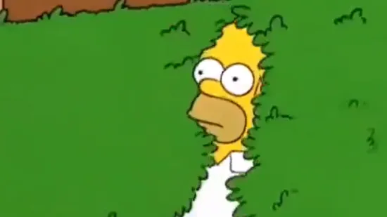 Meme izazvao diplomatsku dramu: Crnogorci pozvali srpskog veleposlanika na razgovor