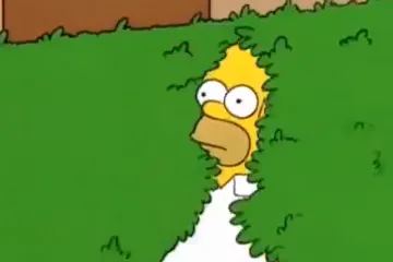 Meme izazvao diplomatsku dramu: Crnogorci pozvali srpskog veleposlanika na razgovor