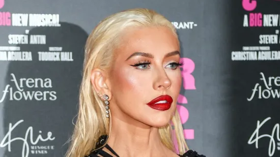 Christina Aguilera i u 45. provocira: Potpuno golim grudima zapalila mreže