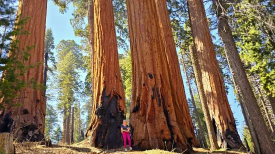Tihi svjedoci povijesti: Nadživjele su faraone, mikenske kraljeve, te Rimsko Carstvo