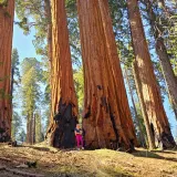 Tihi svjedoci povijesti: Nadživjele su faraone, mikenske kraljeve, te Rimsko Carstvo