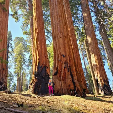 Tihi svjedoci povijesti: Nadživjele su faraone, mikenske kraljeve, te Rimsko Carstvo