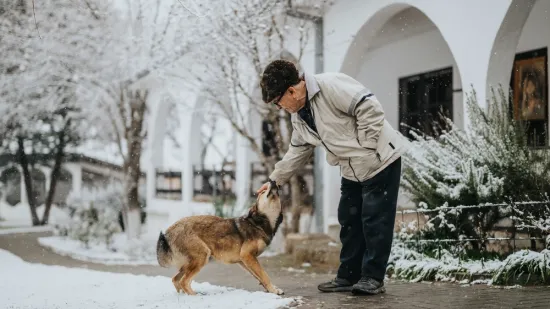 Veterinari upozoravaju: Zima može prikriti ozbiljan zdravstveni problem kod psa