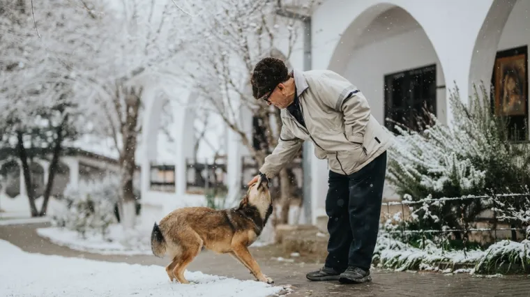 Veterinari upozoravaju: Zima može prikriti ozbiljan zdravstveni problem kod psa