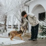 Veterinari upozoravaju: Zima može prikriti ozbiljan zdravstveni problem kod psa