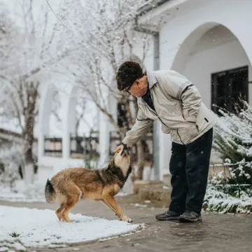 Veterinari upozoravaju: Zima može prikriti ozbiljan zdravstveni problem kod psa