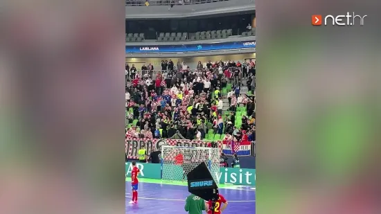 Hrvatski navijači potukli se sa za&scaron;titarima u Areni Stožice: Počelo je zaletavanjem