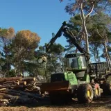 Nastavljaju se radovi u Marjanu: Vi&scaron;e od 4000 uni&scaron;tenih stabala ide pod pilu
