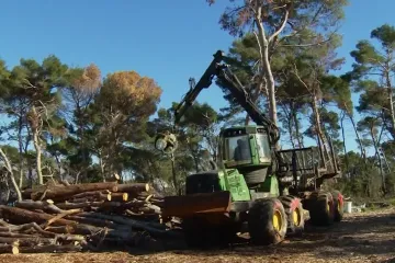 Nastavljaju se radovi u Marjanu: Vi&scaron;e od 4000 uni&scaron;tenih stabala ide pod pilu