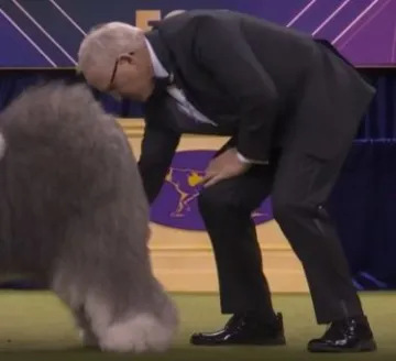 Meghan iz Hrvatske pokorila New York! Najljep&scaron;a je od svoje pasmine, evo &scaron;to kaže vlasnica