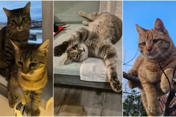 Najdraži životni suputnici: Poslali ste tisuće fotografija, te&scaron;ka smo srca izdvojili njih 100